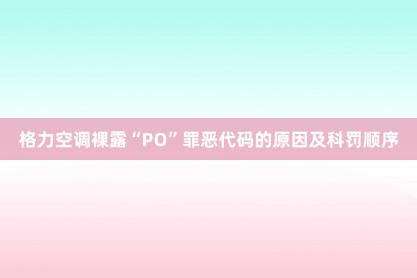 格力空调裸露“PO”罪恶代码的原因及科罚顺序